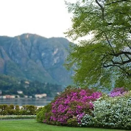 Отель Miralago And